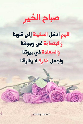 Gv75ElzWMAAlOUh.jpg