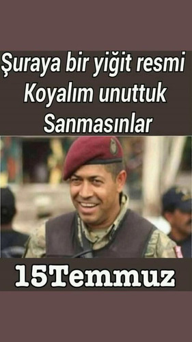 pT3kl5xeBUUVjfv3.jpg