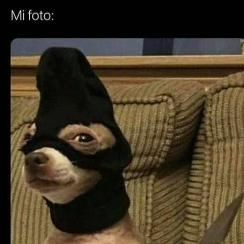 Alberto.jpg