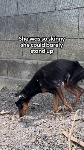 bWgGiwMzETu5t Ge.jpg