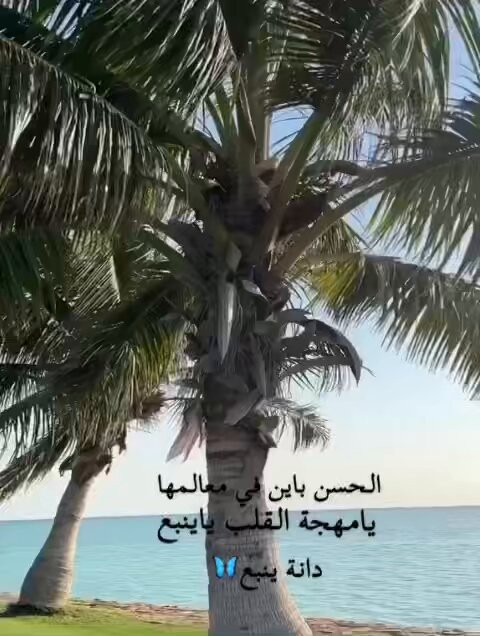JGNdxaJQud3xjLX9.jpg