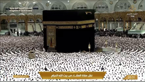 t3d qZo2IosI PPL.jpg