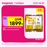 Magnum 1620x1620 1 tov 2025 07 15T154527.680