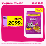 Magnum 1620x1620 1 tov 2025 07 15T154501.099