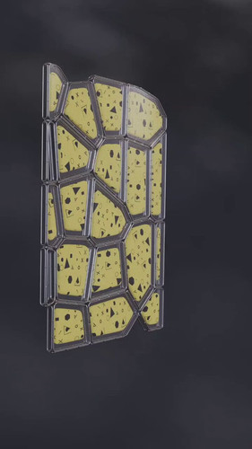 jdgdo3Js8cJHYZJ9.jpg
