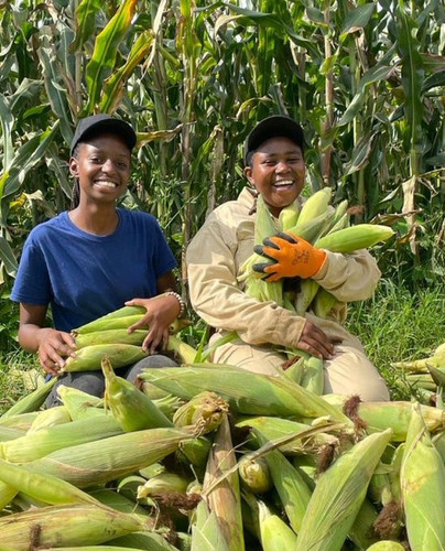 GwACbVUWIAAe079.jpg