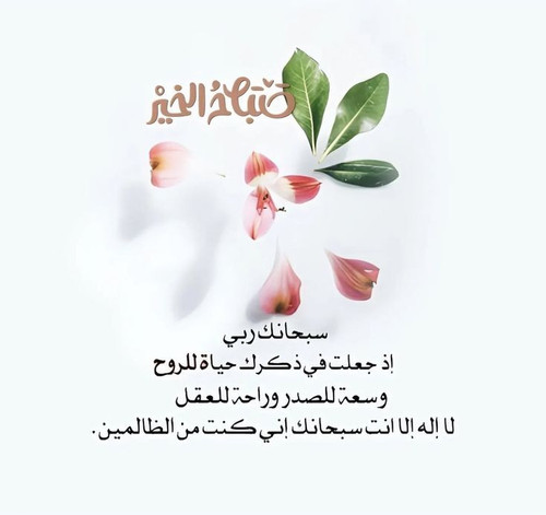 Gv8LZrEXkAAW8t3.jpg