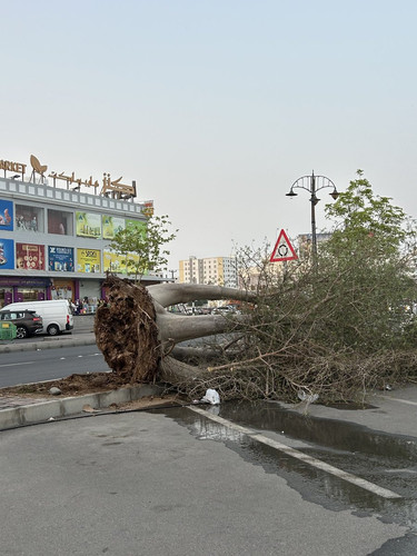 GwBijnAXwAAdBlG.jpg