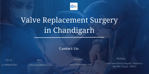 Valve Replacement Surgery in Chandigarh.png