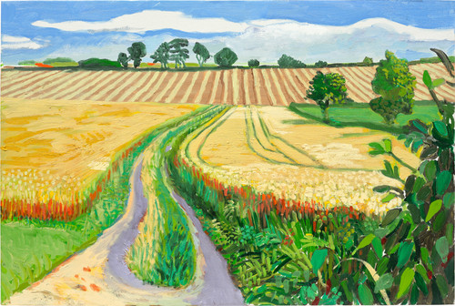 Path Through Wheat Field, July.jpg