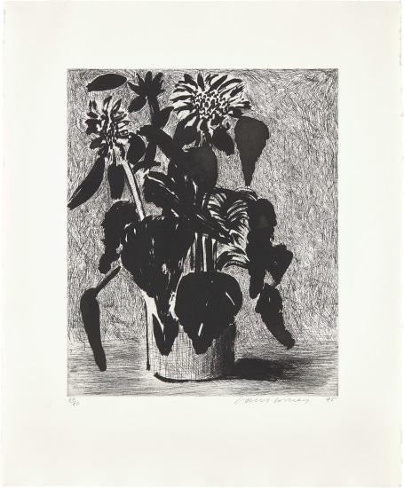 Sunflower II (M.C.A.T. 348).jpg