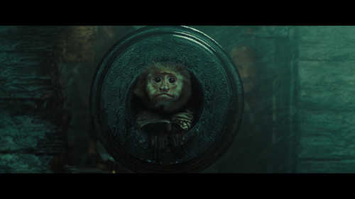 vlcsnap 2025 07 16 00h36m37s243.jpg