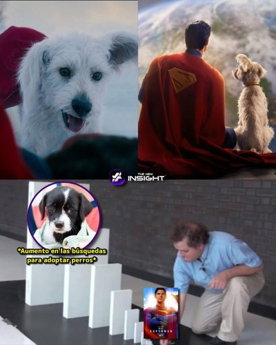 Gv7RhY3XwAAW22D.jpg