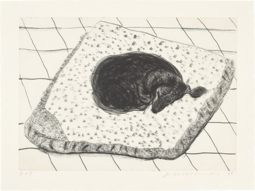 Dog Etching No. 4, from Dog Wall.jpg