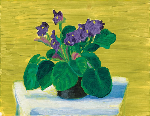 Bridlington Violets.jpg