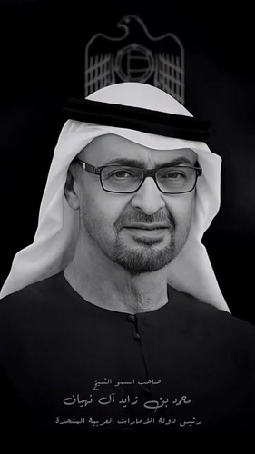 N2y553lMvMr6beHl.jpg