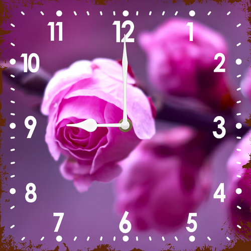 9.png