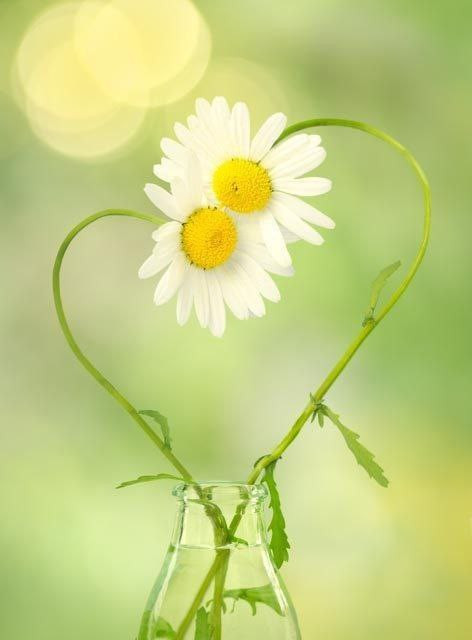 He8jEArJIVCb2Qt2R5mcyEdd1JWZBFbCTUUdxAMIdtJ9BXFh6nkuYuVF19PQ4W6iJ4JuIWJdQNDmuOg 3acFEKU7Bc78vK0BzJcv.jpg