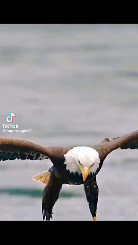 dDgRNy 62pUQRMLQ.jpg