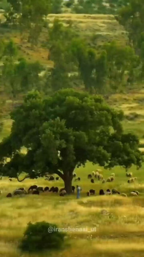 4rOtkiKdS8iGmGG .jpg