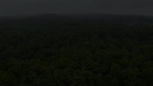 yfJyzTvSH ugJnsw.jpg