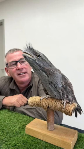 UHrwJgihHS 9ZPYg.jpg