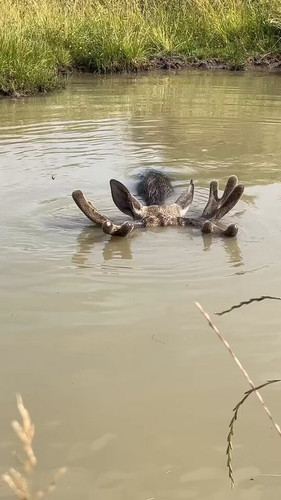 x82 UAjJvEmFw wA.jpg