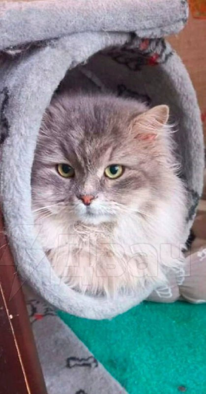 hAkmTWkUKbvRYHr7LUOvUxkwP QKRAdjdgAYmfNitS8Ze 4gS7lyitIMj0GGDvdgFgekescLfr9cCCHbBsce Zo0G9UAZ53b2CLJ.jpg