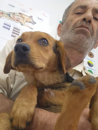 AFjhNpfiKHmh CCxDYfwd 4GHhQ39VGEyB72 7K0zrbT9JY827Rtk10 LC03ILqSm FN51kVaSO5W JWEoqcWigjffoIuP0kZL8w.jpg