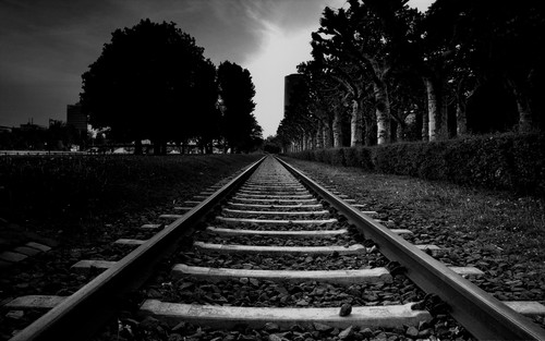 6 62364 pc wallpaper Copy.jpg