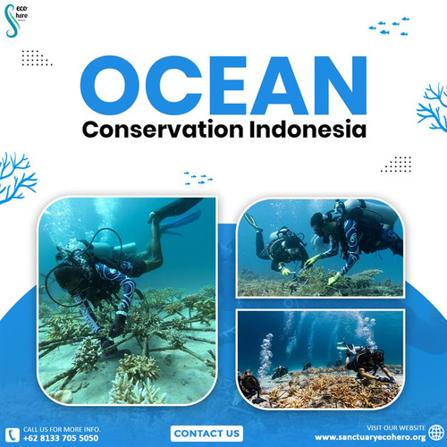 Ocean Conservation Indonesia.jpg