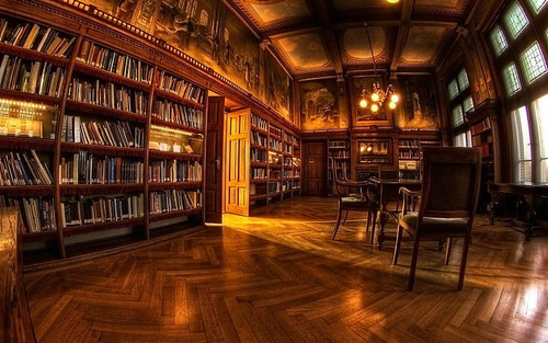 interior design interior library wallpaper preview.jpg