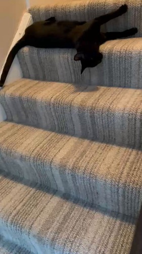 oGOlsJ Mm kdR3XA.jpg