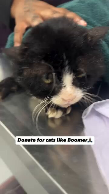 Bg XxDzK5VyEfy8u.jpg