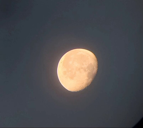 k9543a2rVl 54I p.jpg