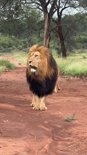 Exf p1 wRw7Ojg8d.jpg