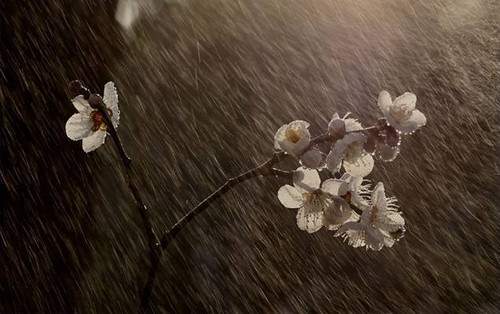 GdvGj3Clpe5U1Sj0dfAjVCmp1KQtwP4Gwc HbZV 9jQH dfYM7YwYNdyj LlEv8J2LO9K4wGlg8SevcMIfuZRz7T yrq v9erMpl.jpg