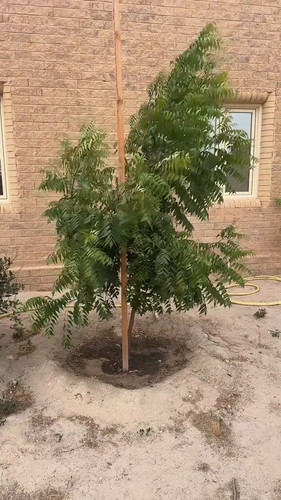 njpvBTpeXF z7eEH.jpg