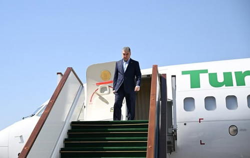 519935290 1313548660779309 5893167538435451958 n.jpg?stp=dst jpg s600x600 tt6& nc cat=109&ccb=1 7& n.jpg