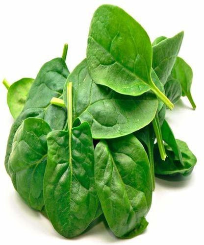 200 spinach seeds xl 548 vibex o.jpg