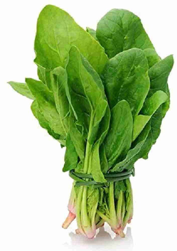 10 indian summer spinach palak s.jpg