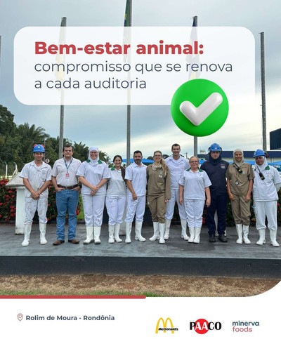 Minerva BR LK 03.06.pdf