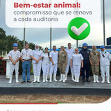 Minerva BR LK 03.06.pdf