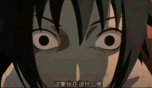 这家伙在说什么呢.jpg