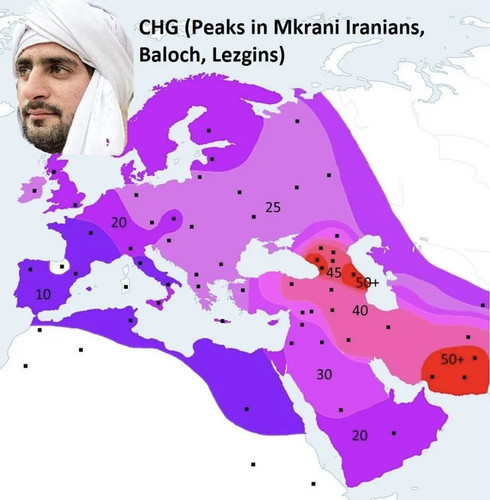 CHG baldna.jpg