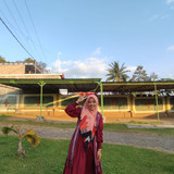 WhatsApp Image 2025 07 10 at 16.32.44