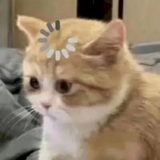 unnamed.png