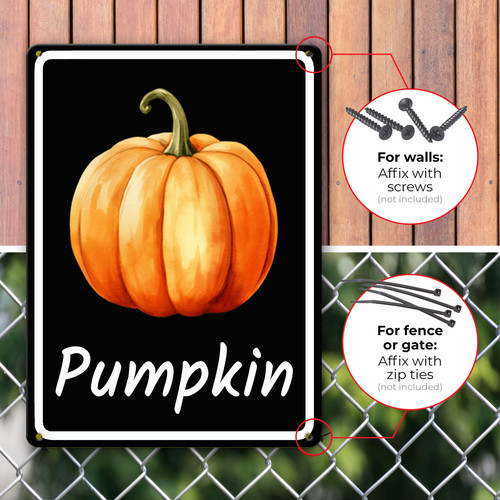81.jpg