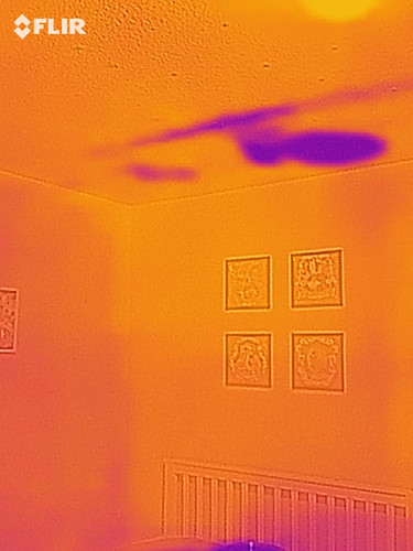 flir 20250717T034557.jpg