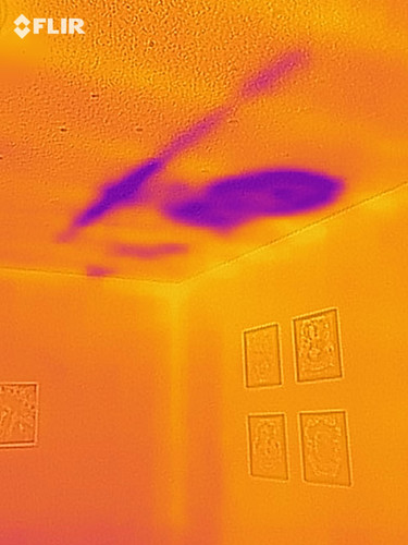 flir 20250717T065325
